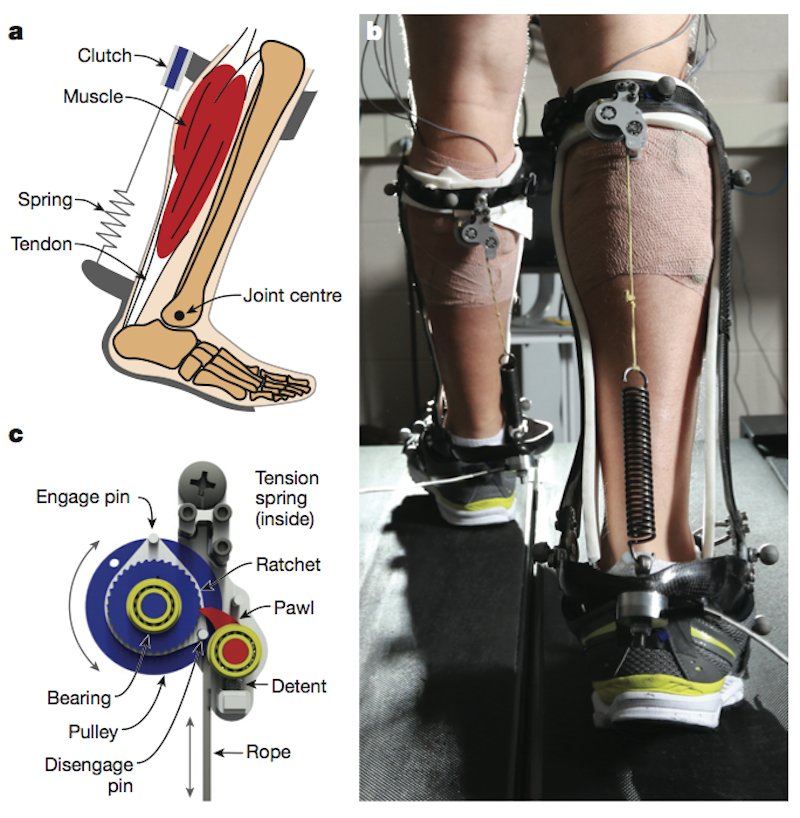 screen shot 2015-04-01 at 10.51.57 am-1