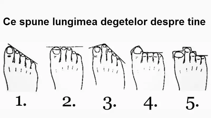 degetele de la picioare