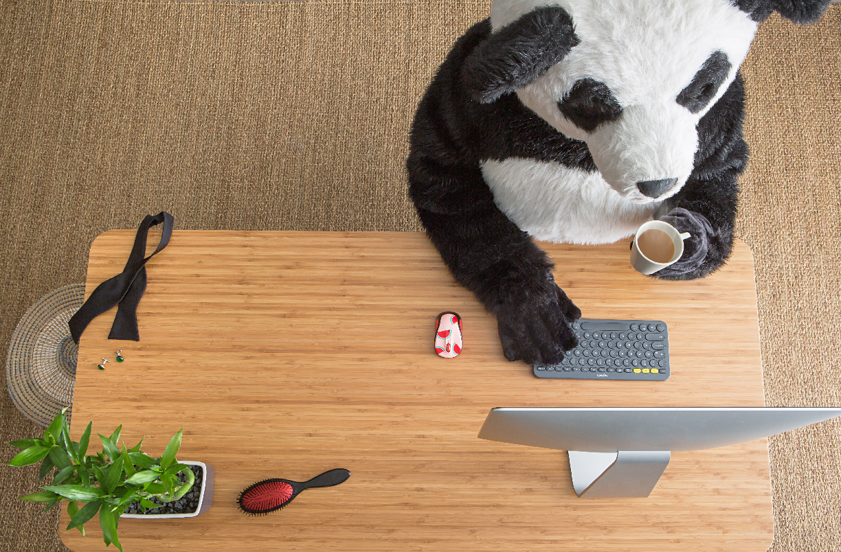 160219_Logitech_Panda_014[2]