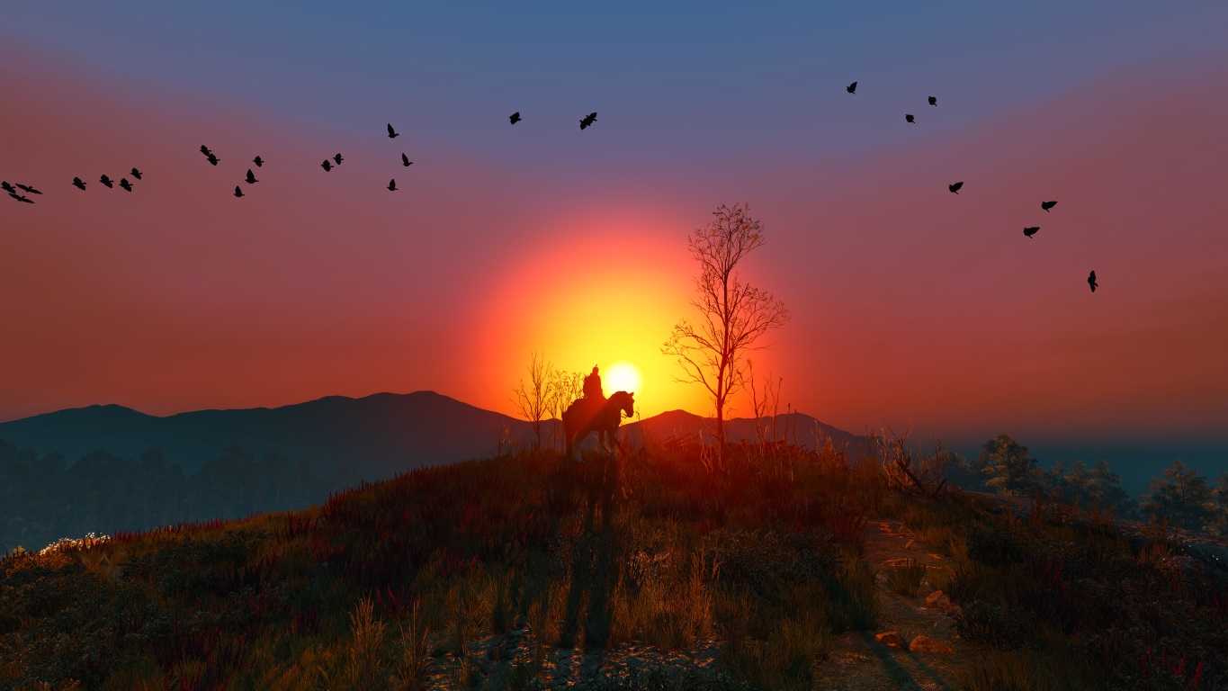 Ansel - The Witcher 3 - 3