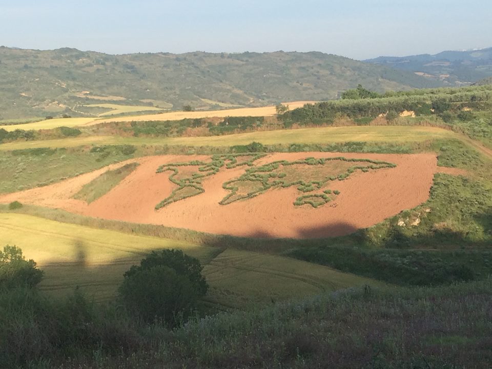 camino-de-santiago-2