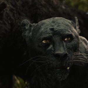 Bagheera in the Netflix film „Mowgli: Legend of the Jungle”