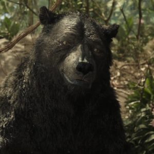 Baloo in the Netflix film „Mowgli: Legend of the Jungle”