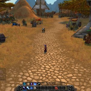 FPS în World of Warcraft