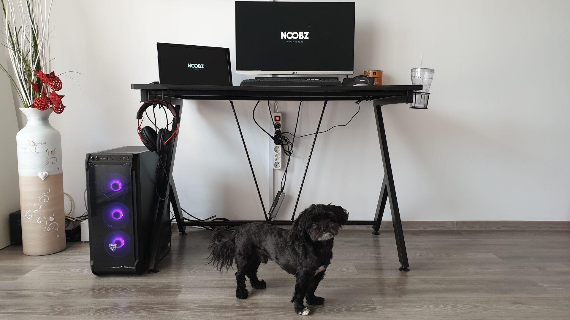 Biroul De Gaming Trust Gxt 711 Dominus Review Noobz Ro