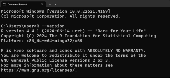 R Verificarea instalării pentru Windows