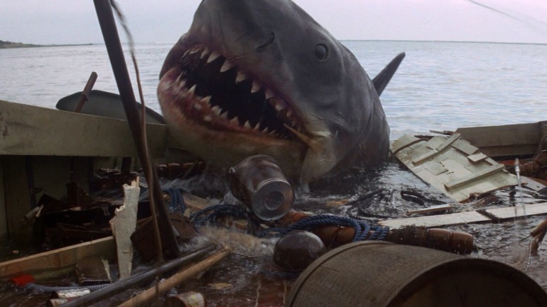 Fălci Bruce rechinul