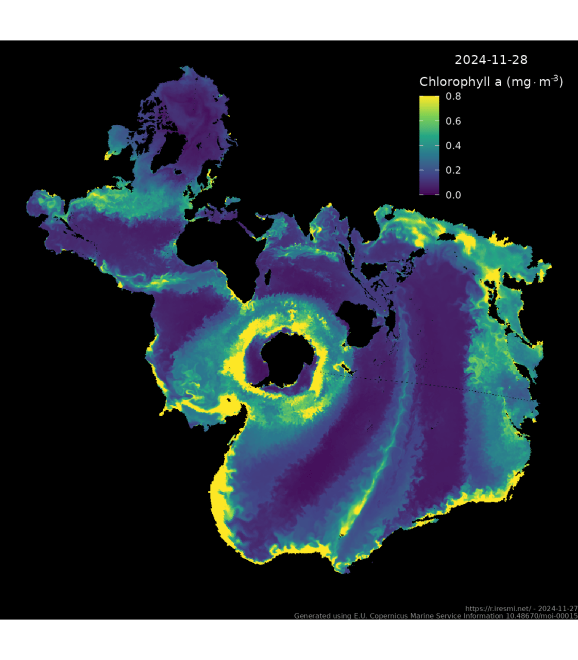 Harta concentrației în masă a clorofilei a în apa de mare