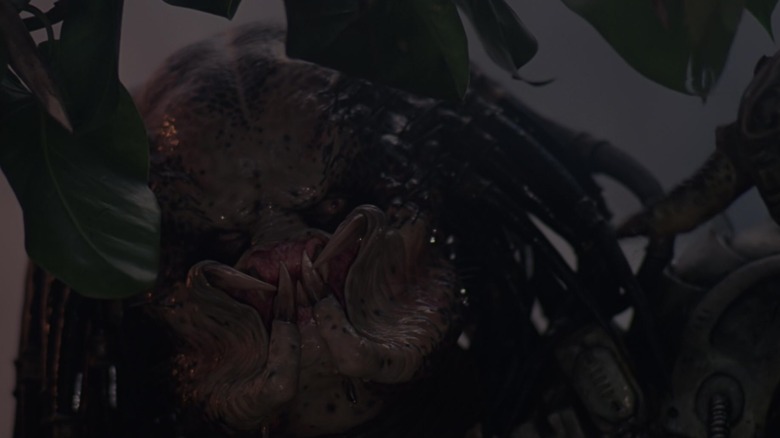 Predatorul în prim-plan