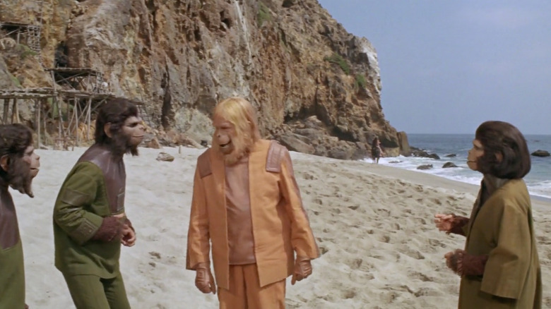 Dr. Zaius, Zira și unele maimuțe discută ce să facă despre Taylor în Planet of the Apes