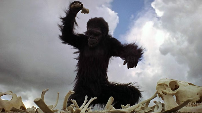 Moonwatcher învață să folosească un os în 2001: A Space Odyssey