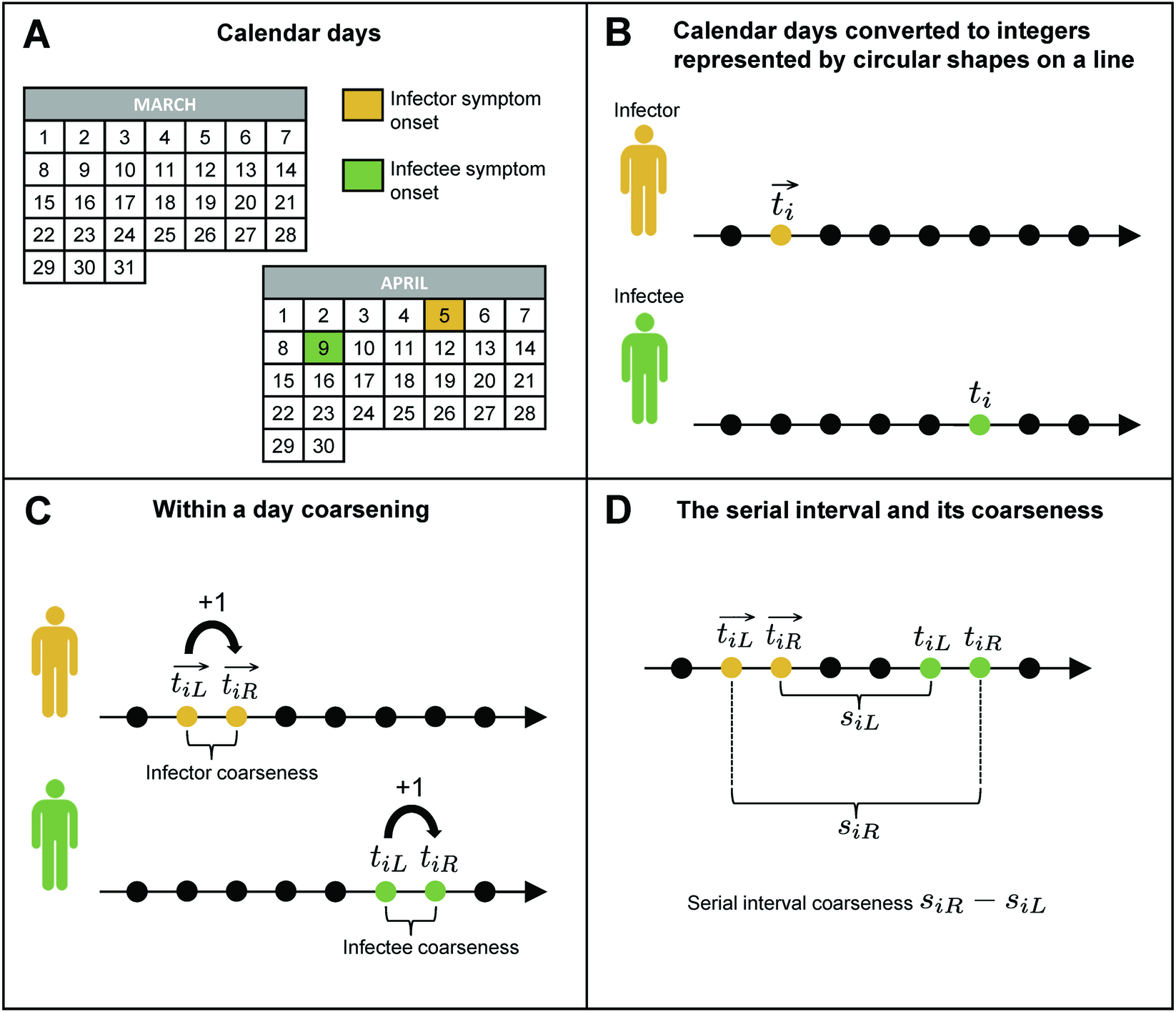Sursa: Gressani O, Hens N. (2025). Estimarea intervalului serial nonparametric cu amestecuri uniforme. PLOS COMPECT BIOL 21 (8): E1013338.