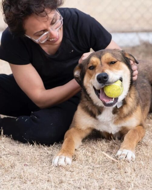 soneria adăpostului a adus o surpriză emoționantă 1