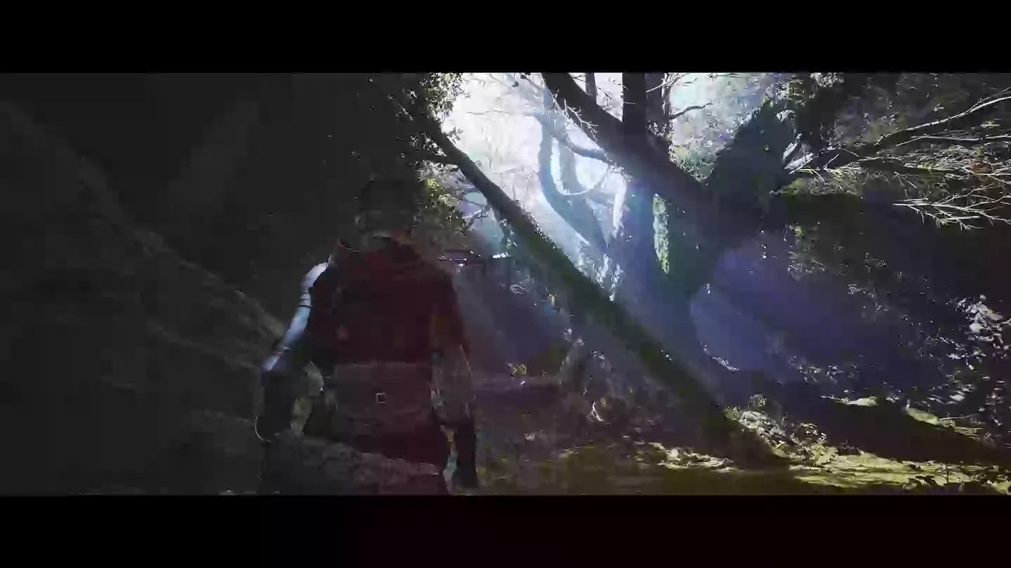 1348 Ex Voto, Credit / Dragi săteni