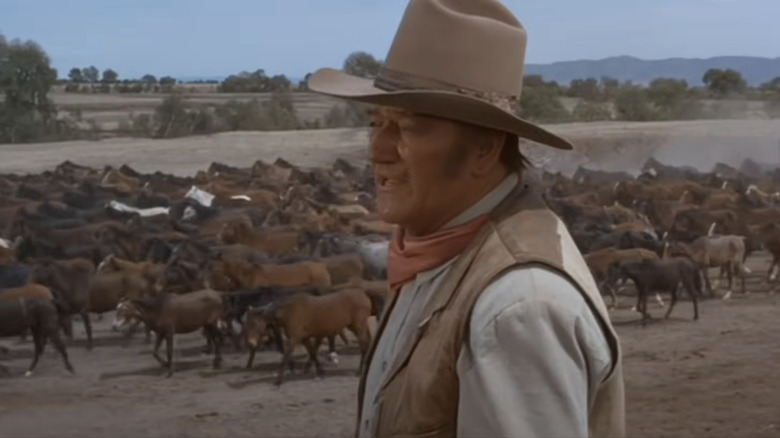 Colonelul Armatei Uniunii lui John Wayne, John Henry Thomas, vorbește cu cineva în afara ecranului, în timp ce vitele trec în fundal în neînvins