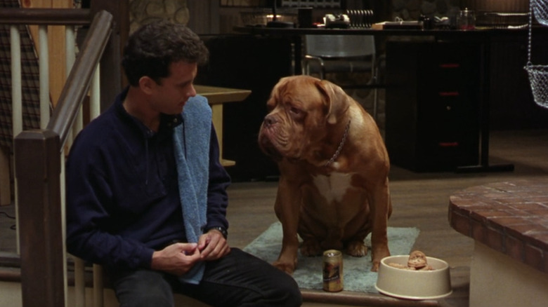 Tom Hanks ca detectiv Turner se răcește în bucătăria sa cu hooch -ul francez Mastiff în Turner & Hooch