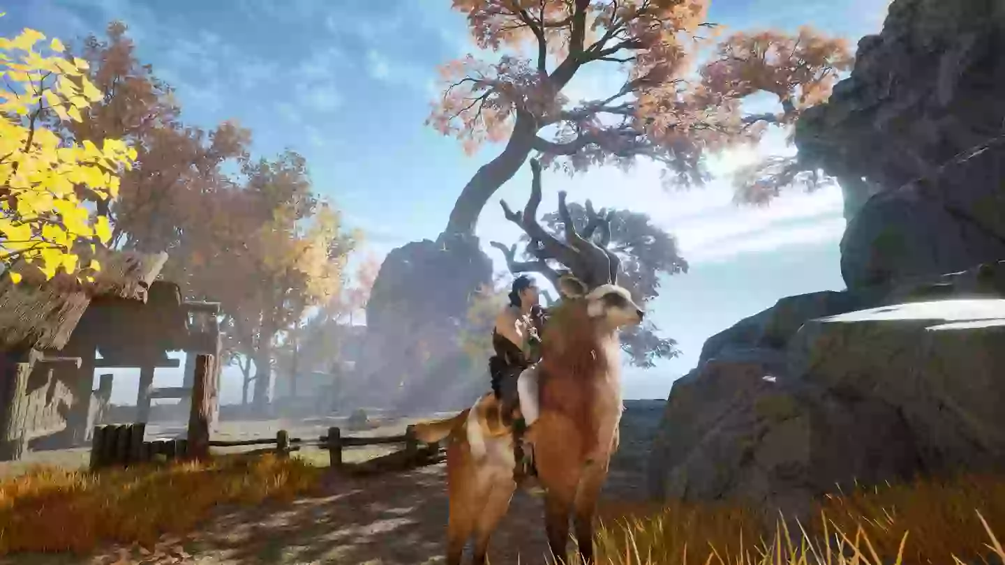 De vârfuri și valuri, jocuri de credit / cyancook