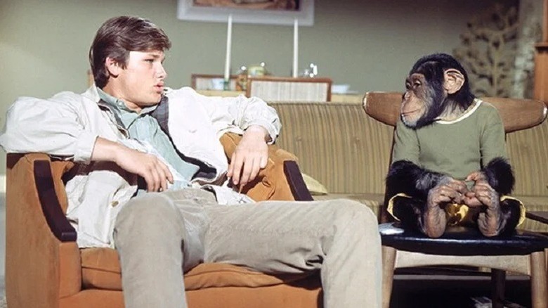 Steven Post și Raffles stând pe scaune în executivul desculț