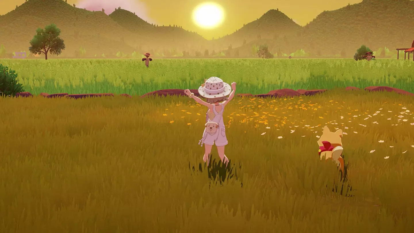 Stele și Insula, Credit / Seed Lab