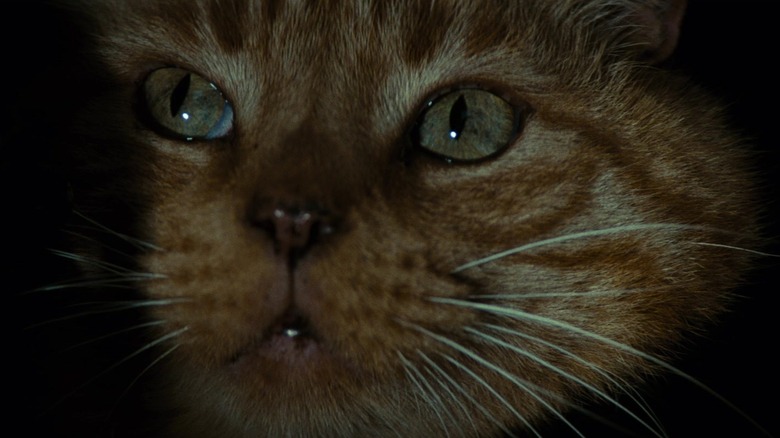 Pisica Jonesy urmărește cu atenție în Alien