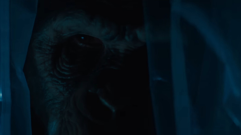 Un prim-plan extrem al lui Ben în Primate