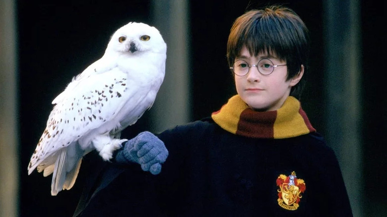 Daniel Radcliffe ține o bufniță pe braț în Harry Potter și Piatra Filosofală