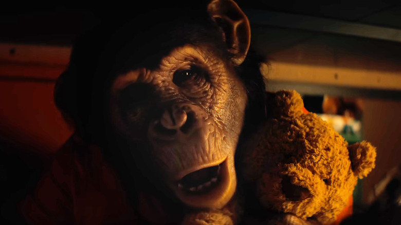 Ben ține un ursuleț de pluș în Primate