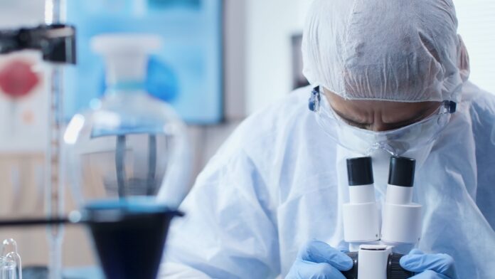 UK researchers are growing miniature human tissue from NHS patient cells to improve drug testing