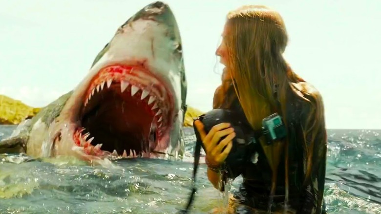 Nancy este atacată de un rechin în The Shallows
