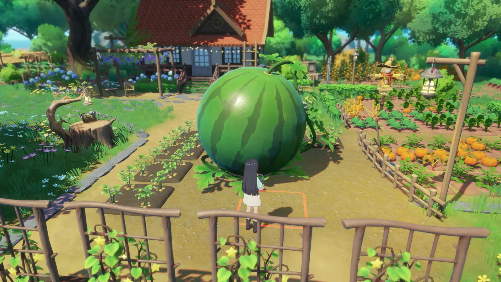 Seed Sparkle Lab