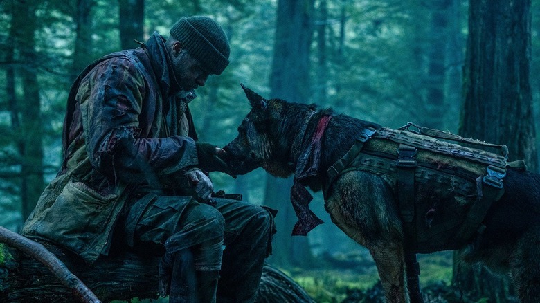 James îi oferă lui Odin o gustare în Heart of the Beast
