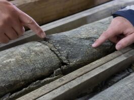 Sub Vrancea o placă tectonică se rupe și cade spre centrul Pământului: geologii explică de ce România are cutremure unice în Europa