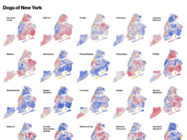Câinii din New York | R-bloggeri
